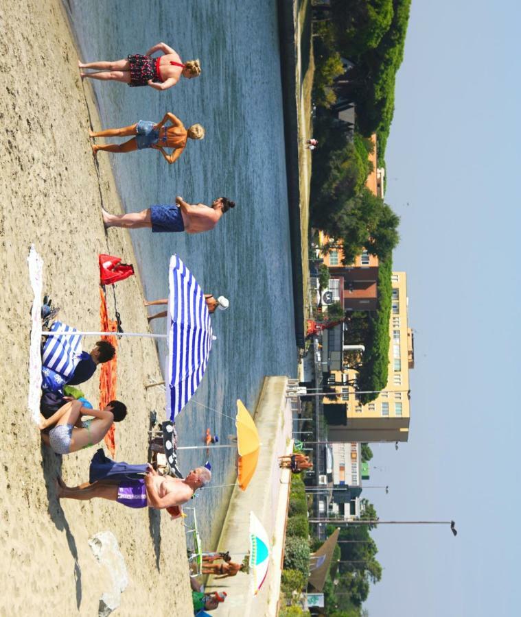Logonovo *