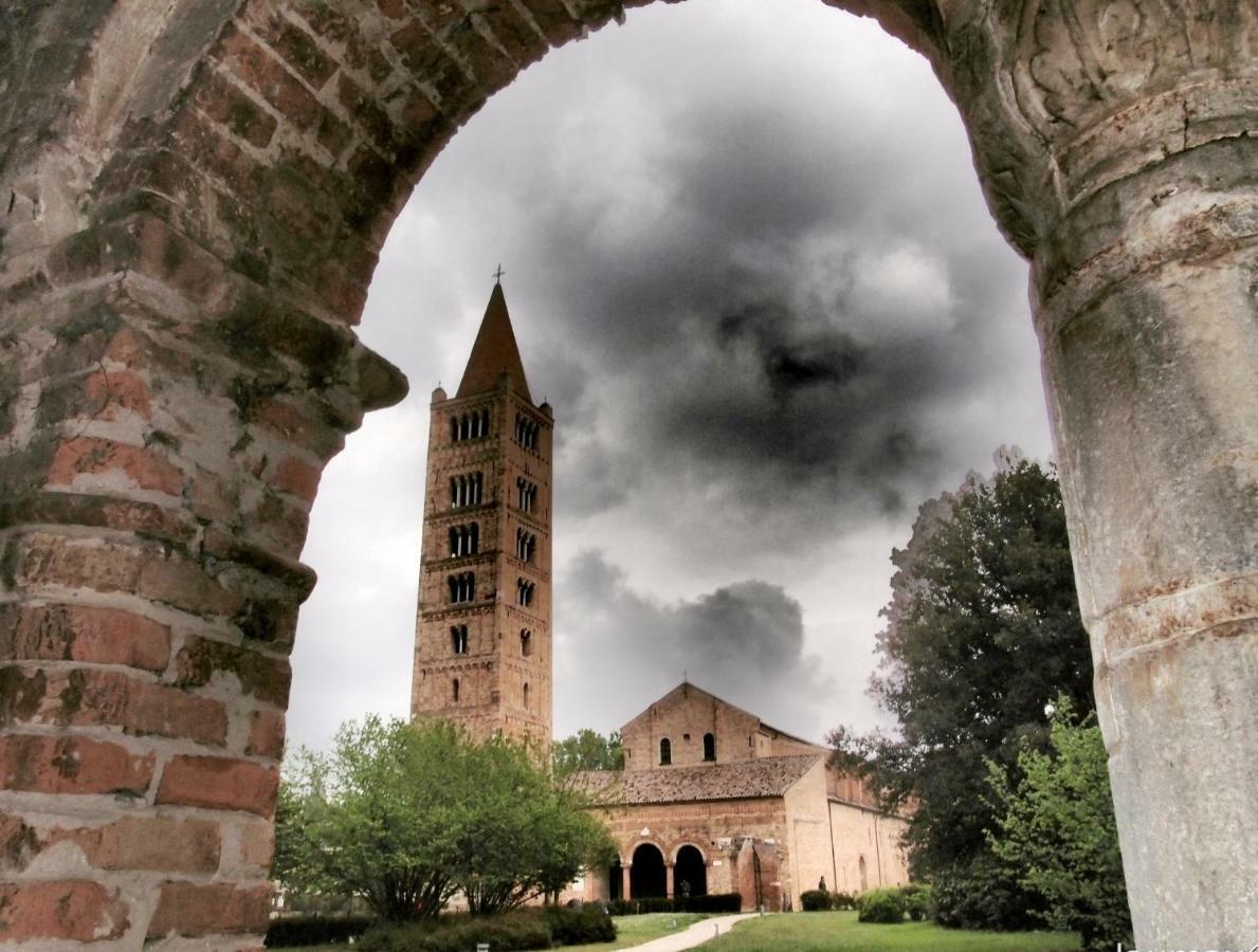 Logonovo