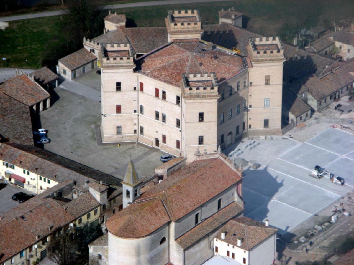 Logonovo *